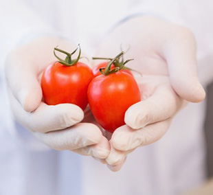 EXPO2015: il tema della sicurezza alimentare