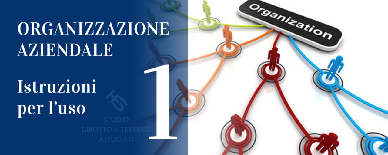 L'organizzazione aziendale – istruzioni per l'uso 1 lezione
