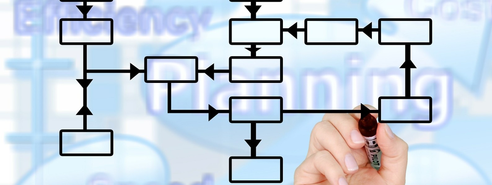 L’adeguato assetto organizzativo, responsabilità dell’organo amministrativo e di controllo.