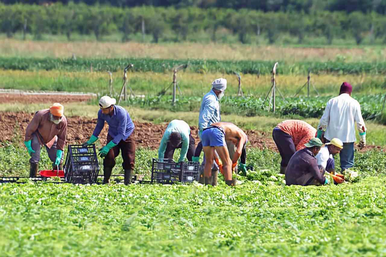 Regolarizzazione lavoratori clandestini e permessi di soggiorno scaduti
(art. 103 DECRETO-LEGGE 19 maggio 2020, n. 34)