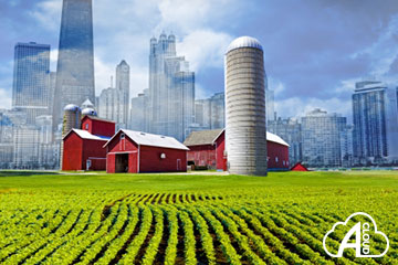 Calcolo delle imposte sulle transazioni di terreni agricoli e/o edificabili: versione Cloud